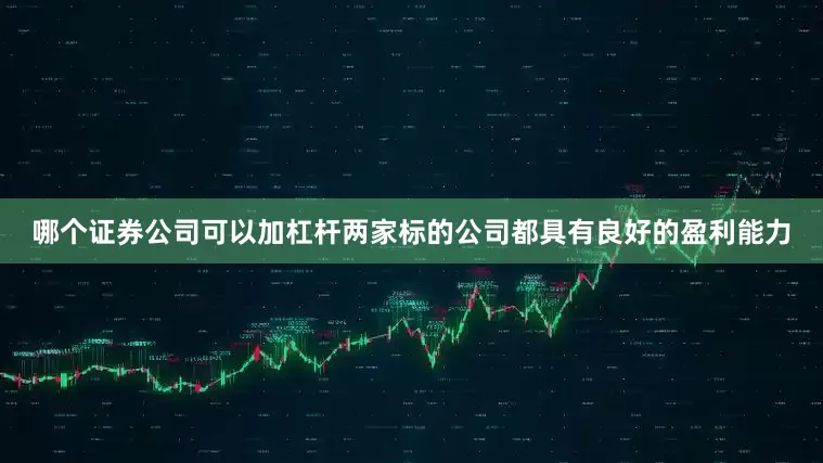 哪个证券公司可以加杠杆两家标的公司都具有良好的盈利能力