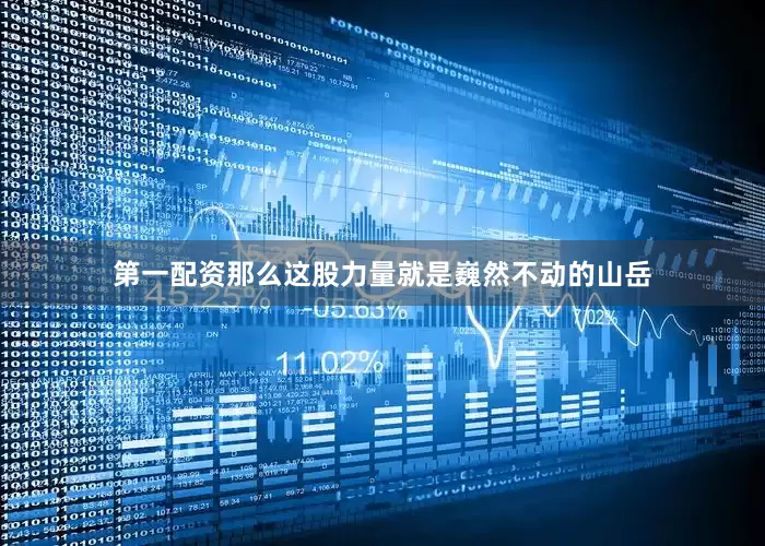 第一配资那么这股力量就是巍然不动的山岳