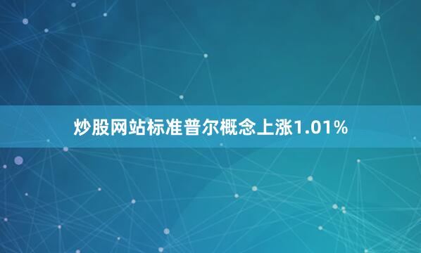 炒股网站标准普尔概念上涨1.01%