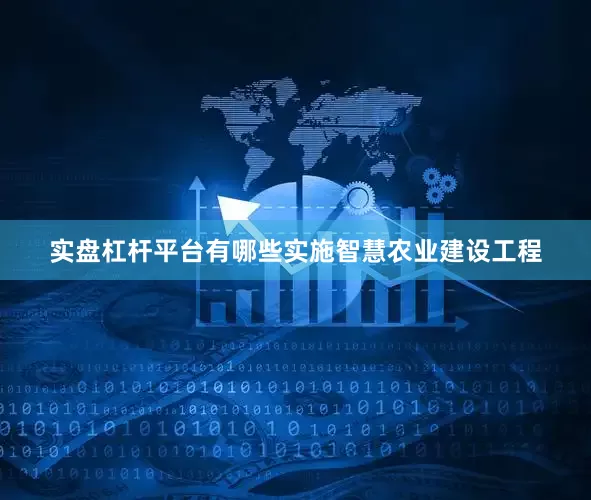 实盘杠杆平台有哪些实施智慧农业建设工程