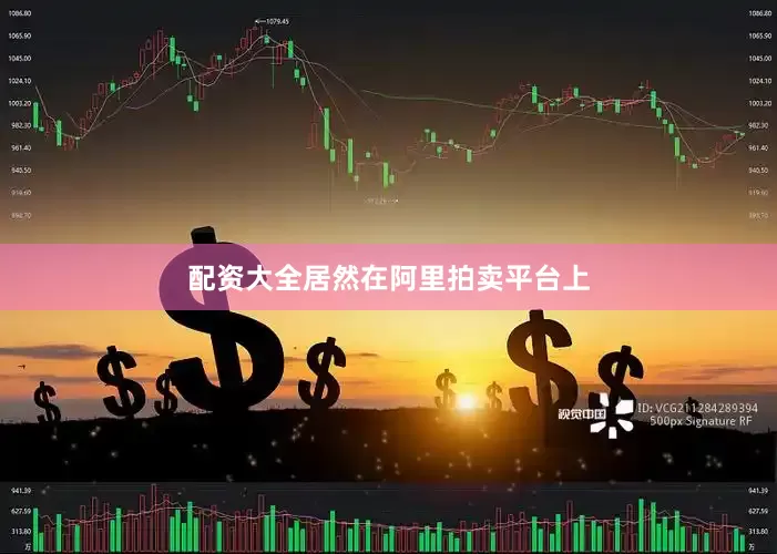 配资大全居然在阿里拍卖平台上