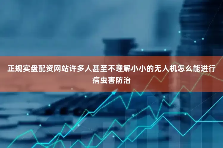 正规实盘配资网站许多人甚至不理解小小的无人机怎么能进行病虫害防治